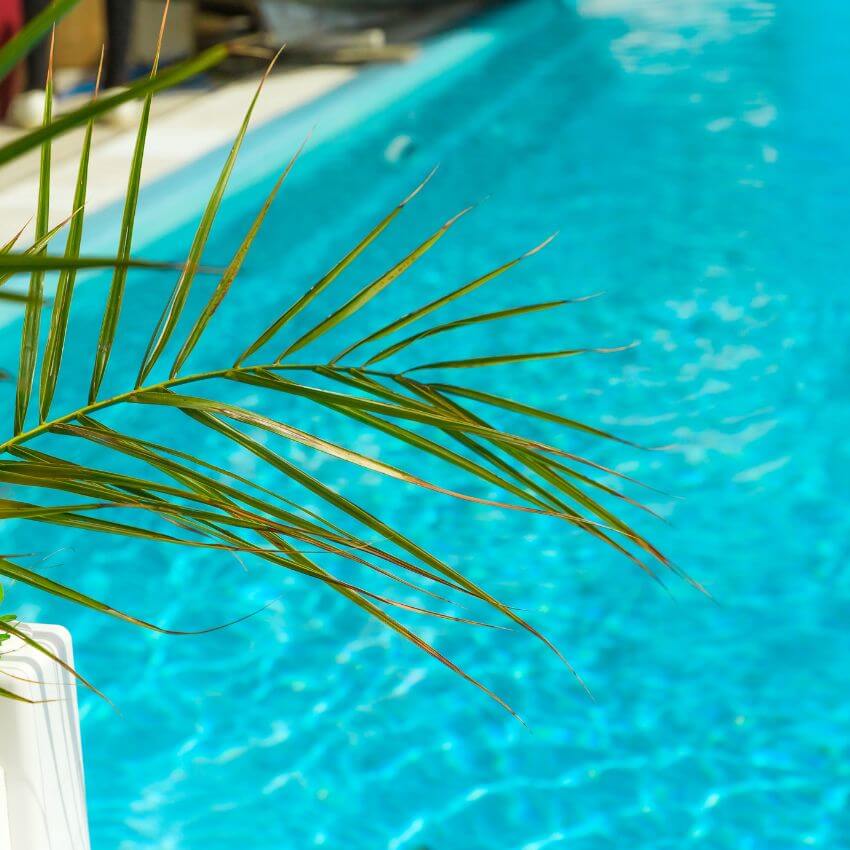 Pool legal compliance